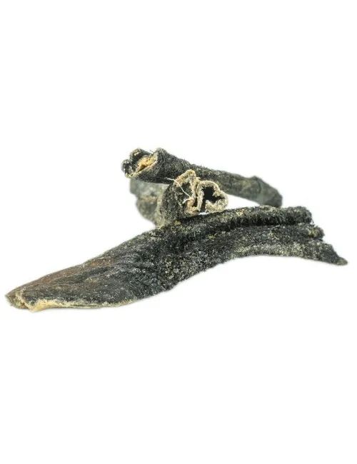 Trippa Essiccata per Cani