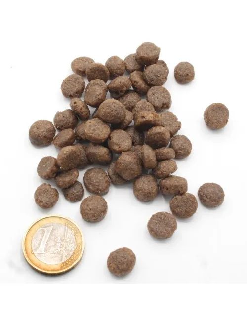 Cuccioli e Accrescimento Pesce Azzurro Low Grain - con Mele, Carote e Mirtilli 20 Kg