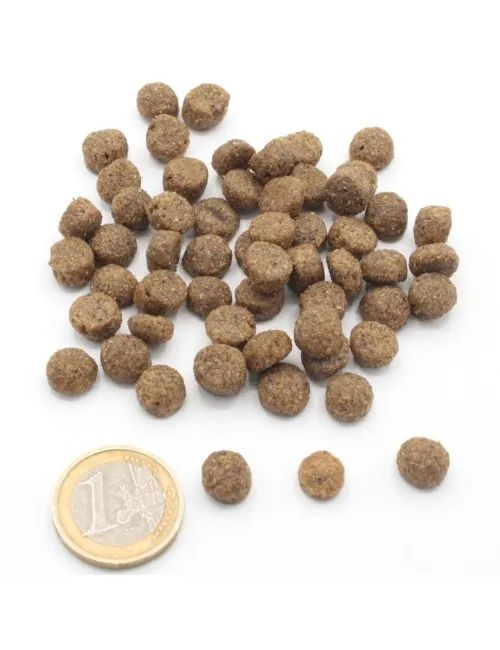 Cuccioli e Accrescimento Maiale e Pollo