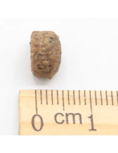 Cuccioli e Accrescimento Maiale e Pollo