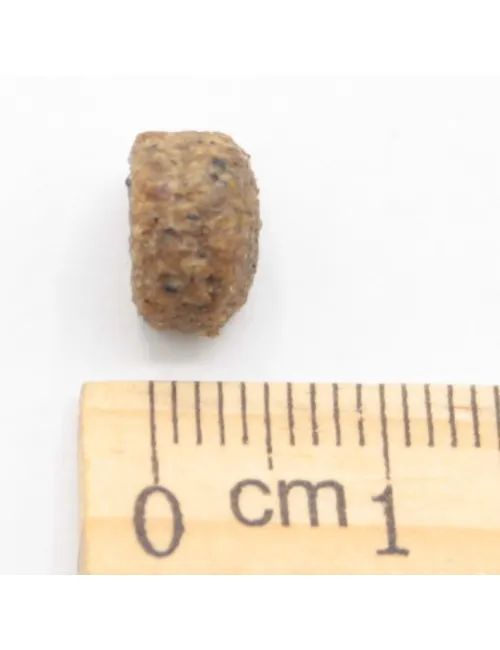 Cuccioli e Accrescimento Maiale e Pollo