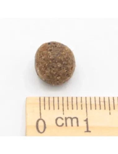 Cuccioli e Accrescimento Maiale e Pollo