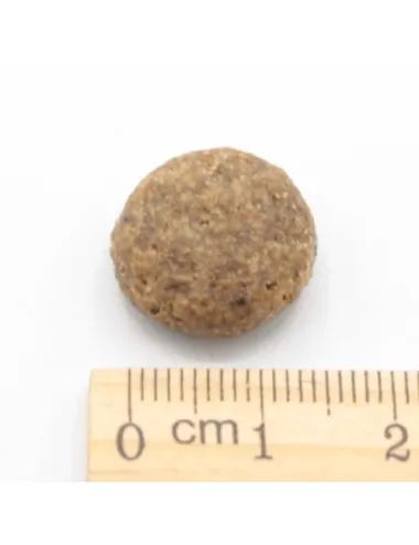 Pesce Oceanico Low Grain - con Mele, Carote e Mirtilli