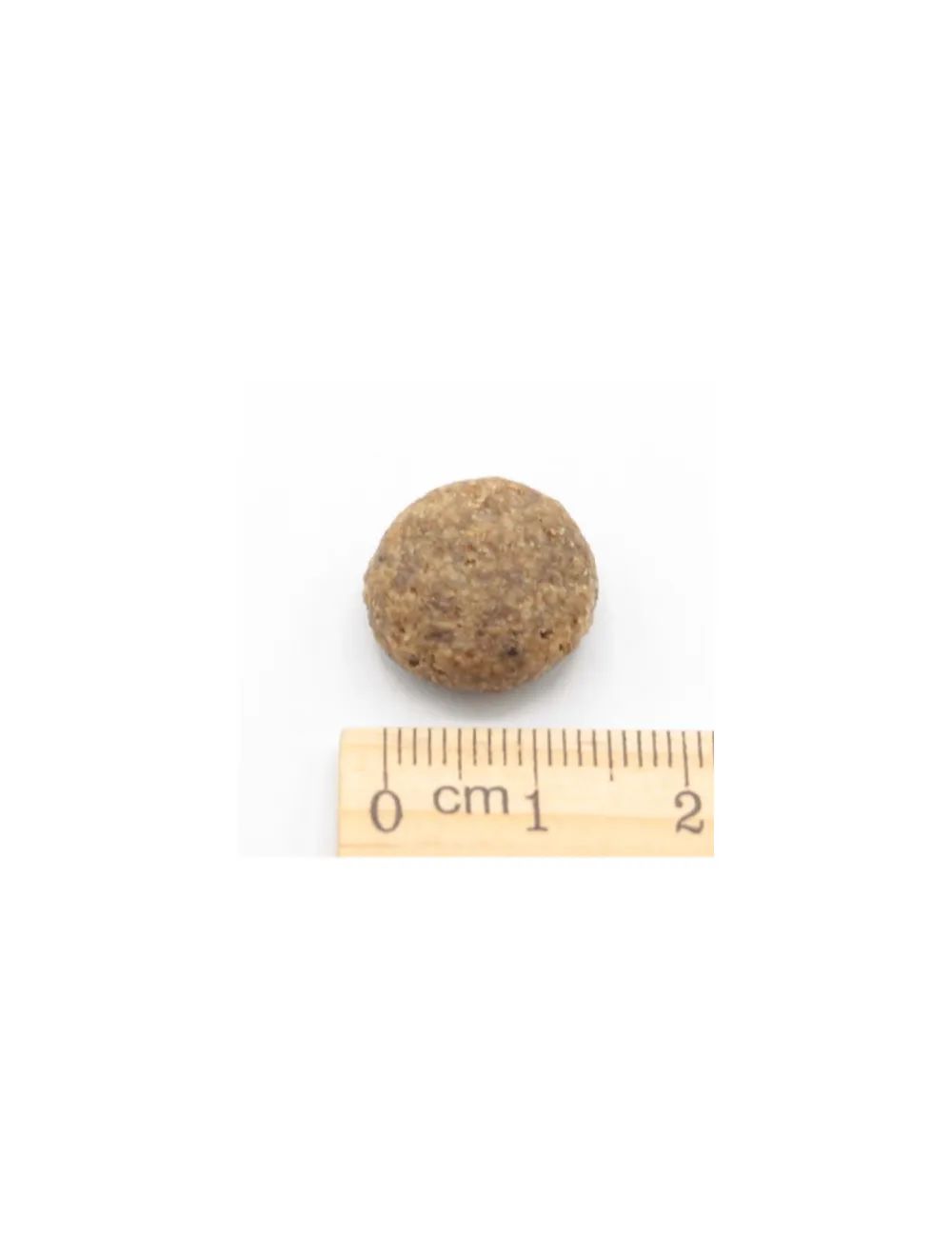 Pesce Oceanico Low Grain - con Mele, Carote e Mirtilli