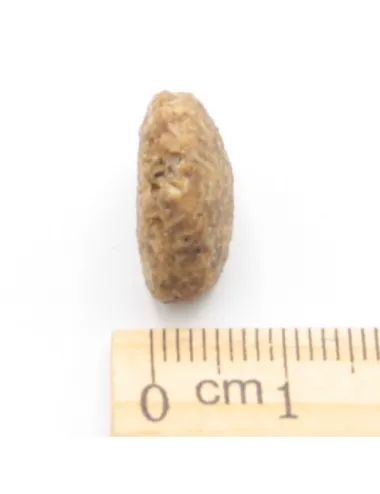 Agnello e Pesce Low Grain - con Mele, Carote e Mirtilli