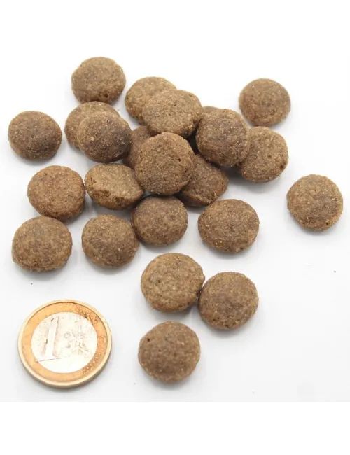 Agnello e Pesce Low Grain - con Mele, Carote e Mirtilli