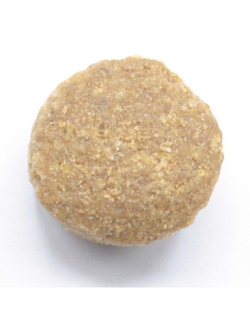 Dinner Mantenimento Cani Adulti