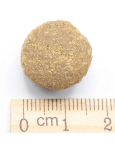 Dinner Mantenimento Cani Adulti