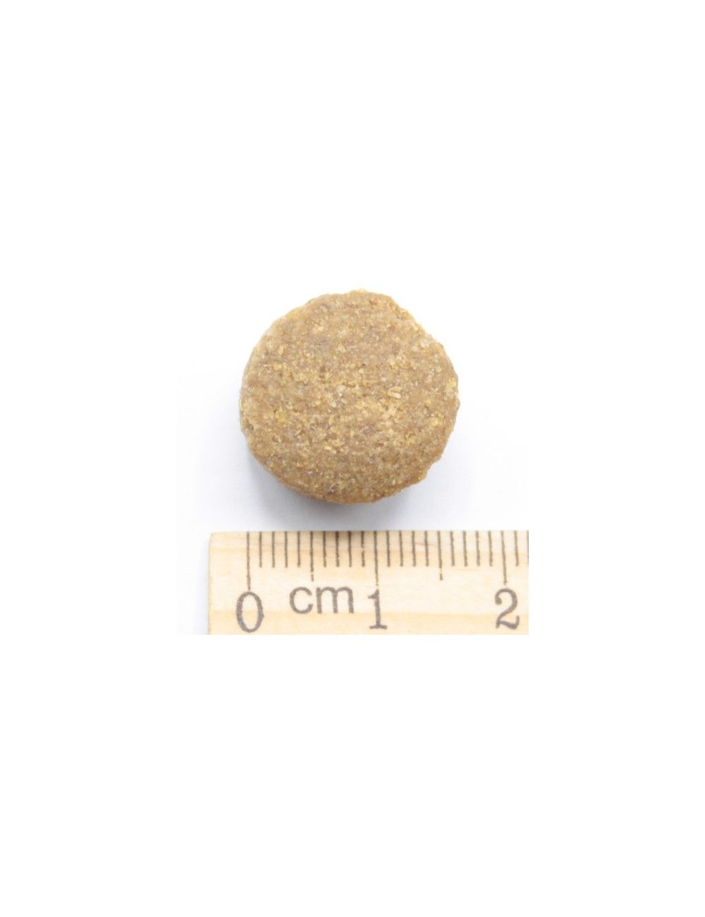 Dinner Mantenimento Cani Adulti