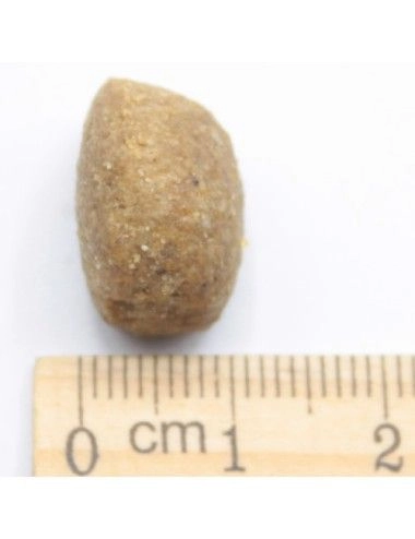 Dinner Mantenimento Cani Adulti