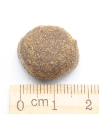 Dermat BIG (Crocchetta Grossa)