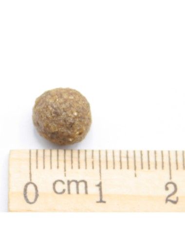 MINI Adult - Agnello, Riso e Patate