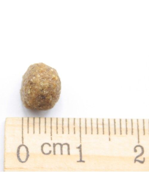 MINI Adult - Agnello, Riso e Patate