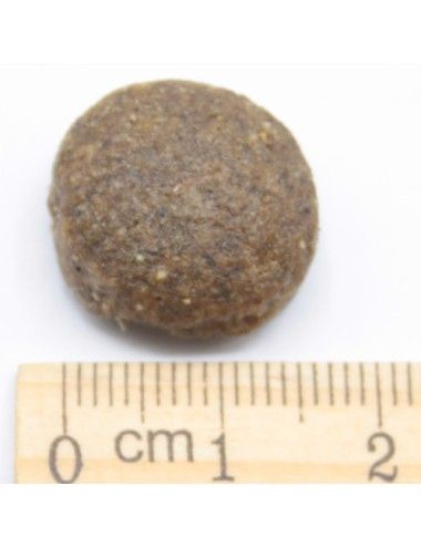 Junior Taglia Grande