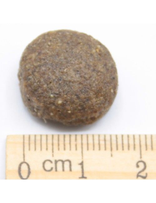 Junior Taglia Grande