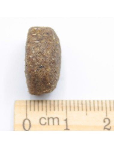 Junior Taglia Grande