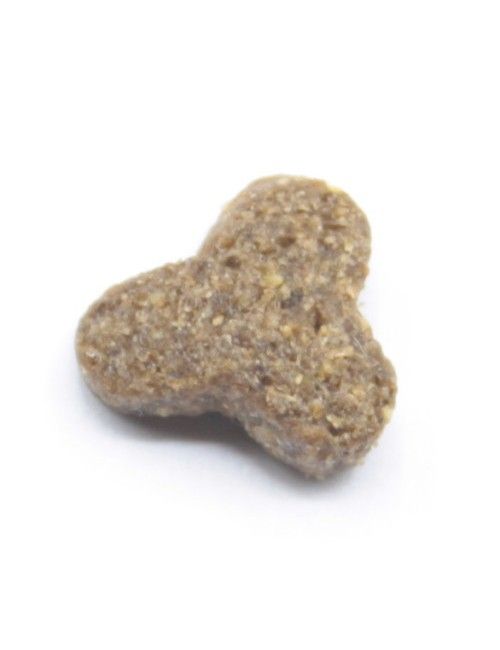 Dermat (crocchetta piccola)