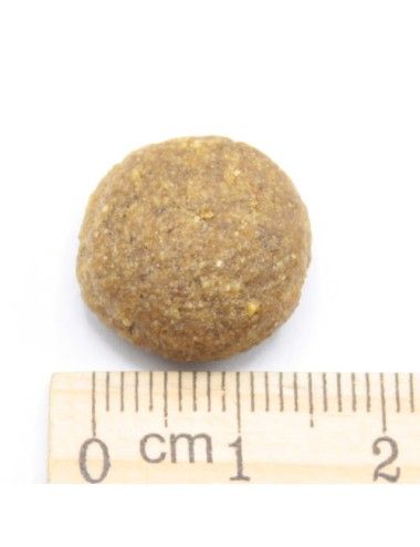 Lamb & Rice Monoproteico all'Agnello