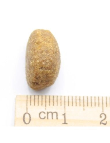 Lamb & Rice Monoproteico all'Agnello