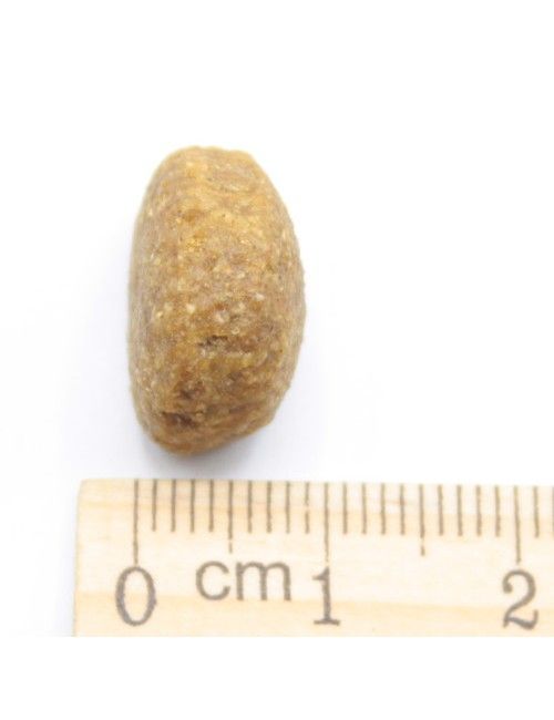 Lamb & Rice Monoproteico all'Agnello