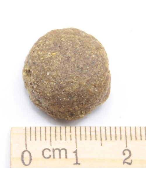 Senior Alimentazione per  Cani Anziani