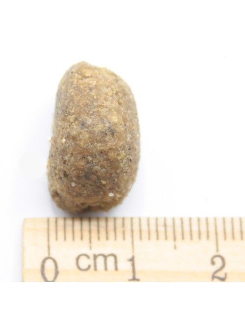 Senior Alimentazione per  Cani Anziani