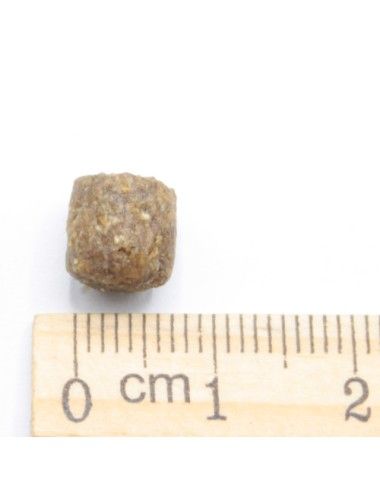 MINI Adult Pesce e Riso