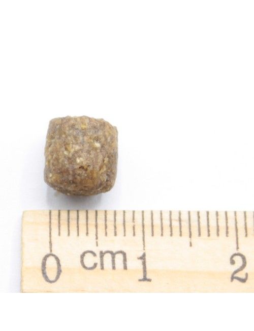 MINI Adult Pesce e Riso