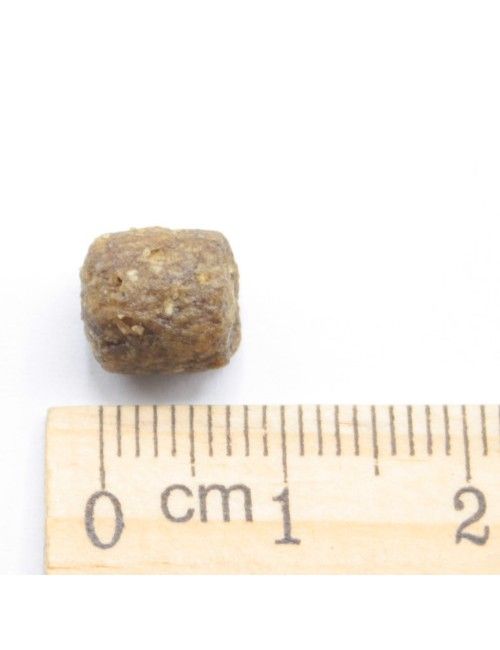 MINI Adult Pesce e Riso