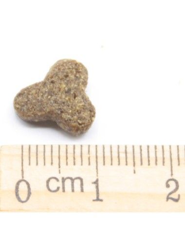 Mini (confezione 20 Kg)