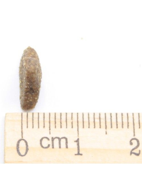 Mini (confezione 20 Kg)