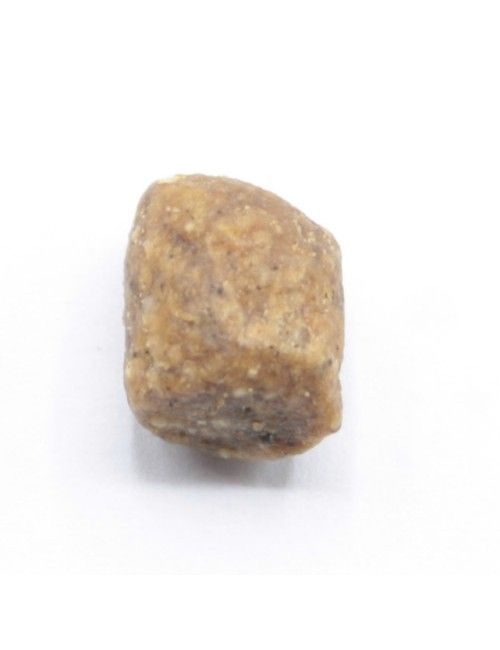 MINI Adult Pollo e Riso