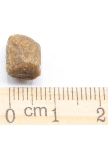 MINI Adult Pollo e Riso