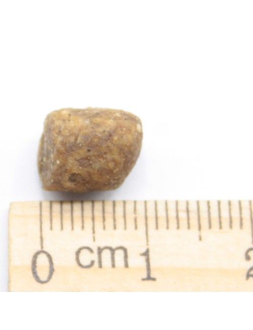 MINI Adult Pollo e Riso