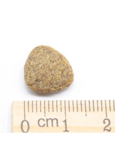 MINI Light In Grassi