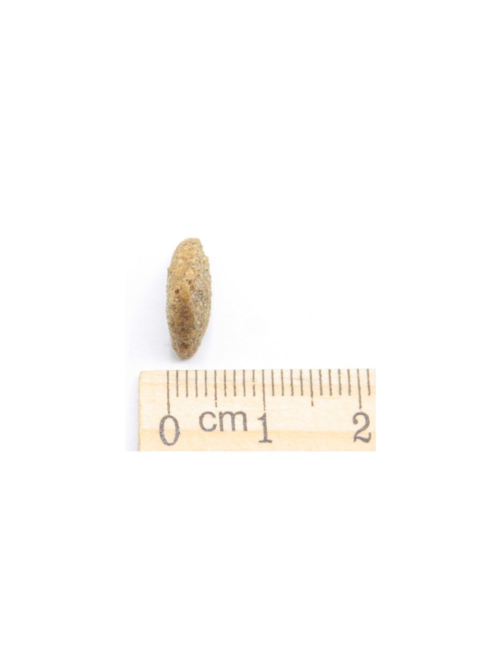 MINI Light In Grassi