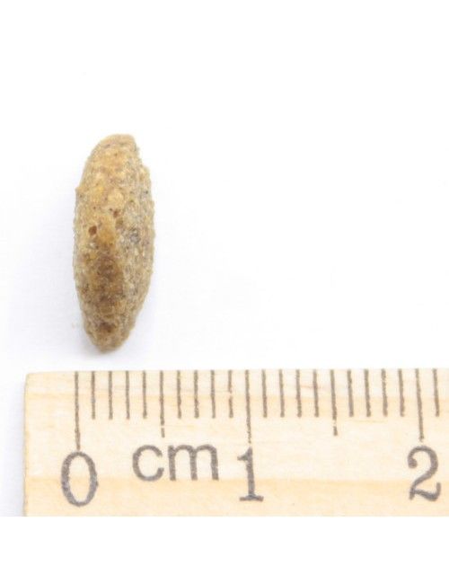 MINI Light In Grassi