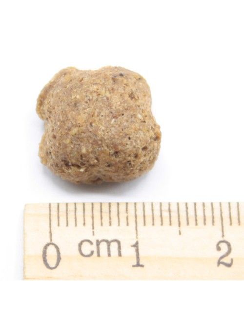 Agnello e Riso Mangime per Cani in Offerta