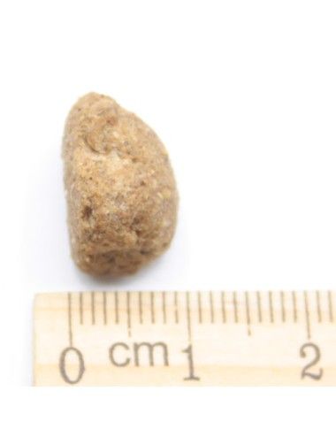 Agnello e Riso Mangime per Cani in Offerta