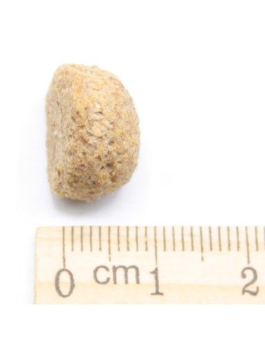 Gran Forma (20Kg) Mangime per cani economico