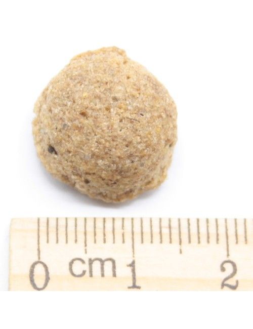 Gran Forma (20Kg) Mangime per cani economico