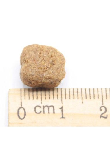 Cuccioli Fattrici e Accrescimento