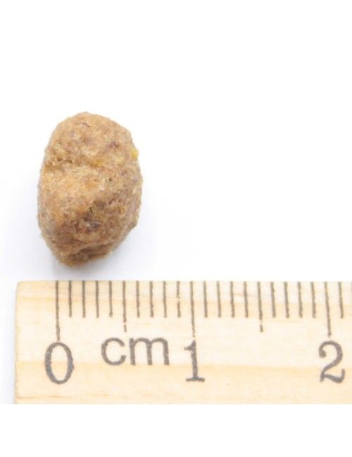 Cuccioli Fattrici e Accrescimento