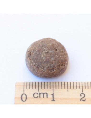 Cervo e Anatra Ipoallergenico Low Grain