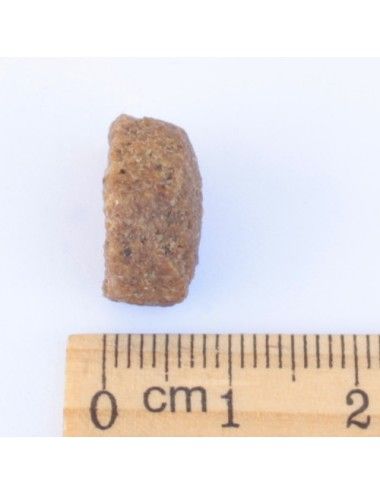 Cervo e Anatra Ipoallergenico Low Grain