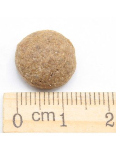 Puppy Junior Solo Cinghiale Ipoallergenico Low Grain