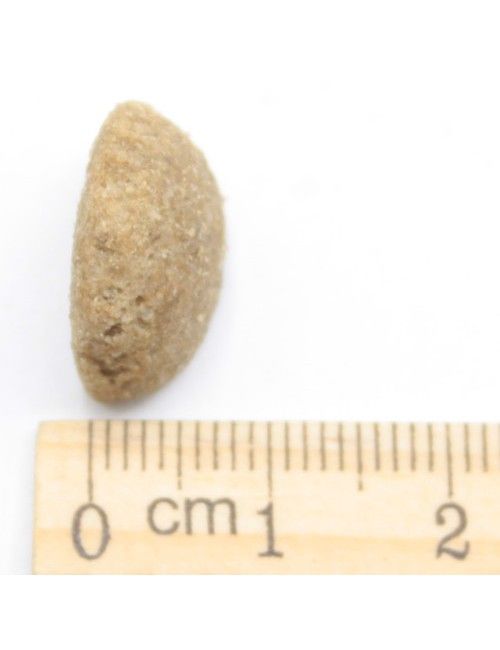 Solo Pesce Ipoallergenico Low Grain (nuova formula)