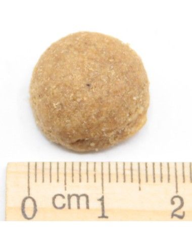 Solo Maiale Ipoallergenico Low Grain (nuova formula)