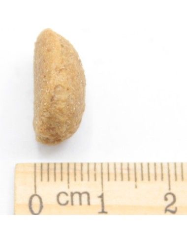 Solo Maiale Ipoallergenico Low Grain (nuova formula)