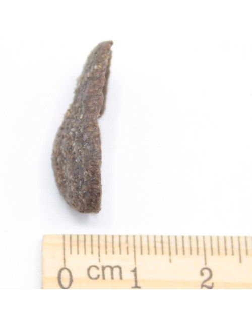 Cavallo e Patate Crocchette per cani senza cereali con Mela Melograno e Cardo Mariano